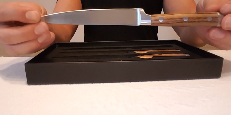 Die Übersicht über die Makami Premium Steakmesser Set mit Palisanderholz Griff